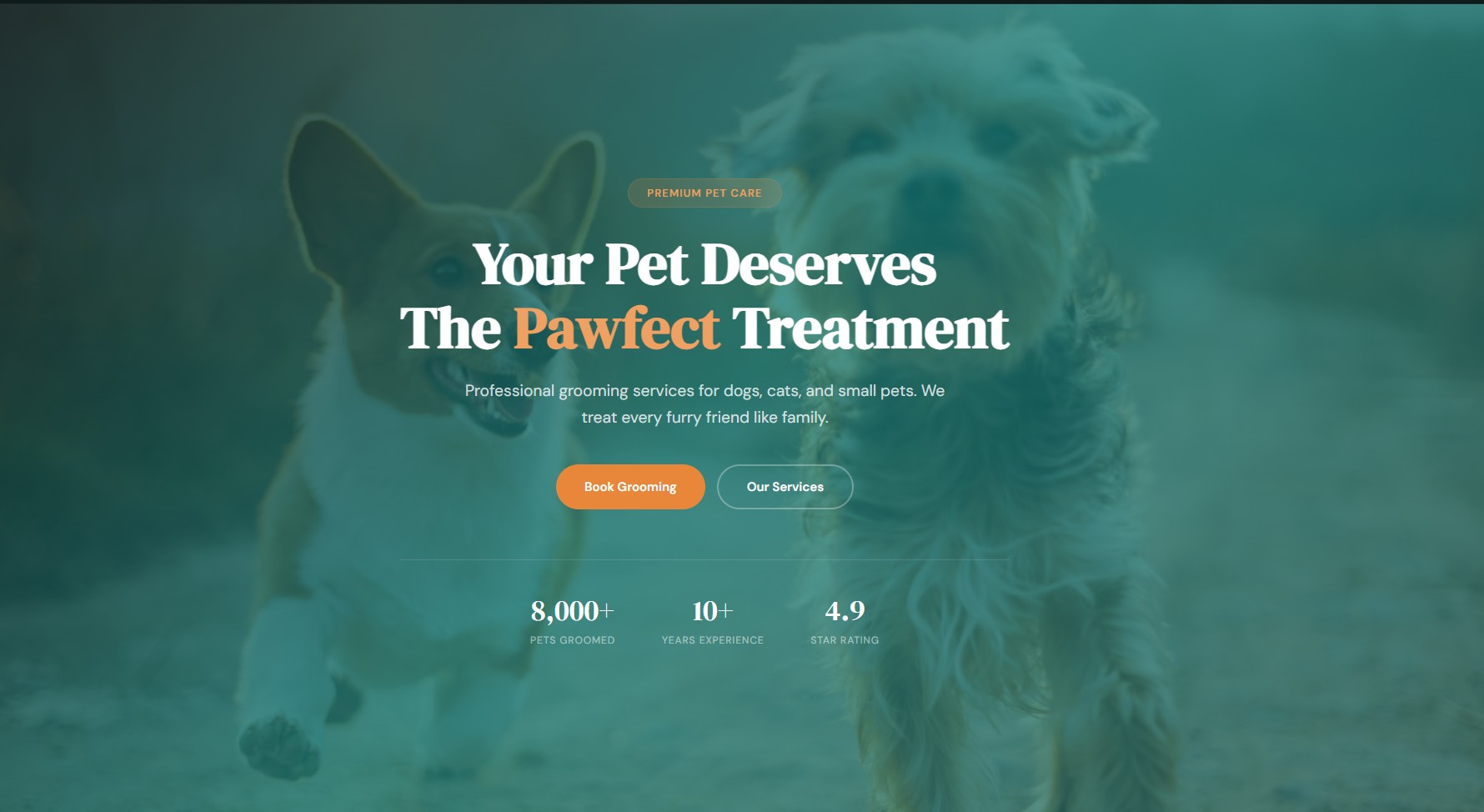 Pet Grooming website template